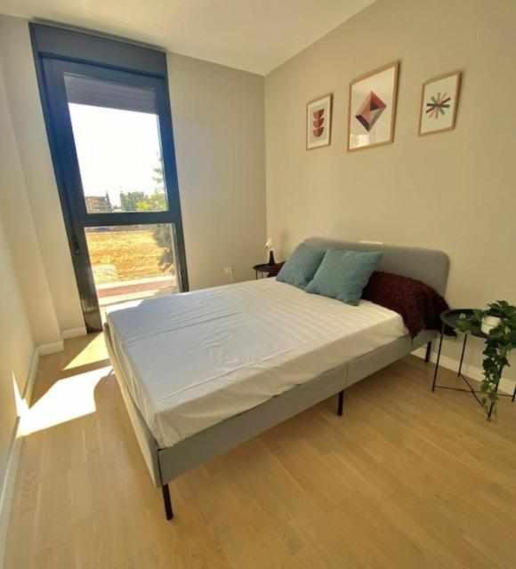דירות קורדובה Gran Apartamento Laronda מראה חיצוני תמונה
